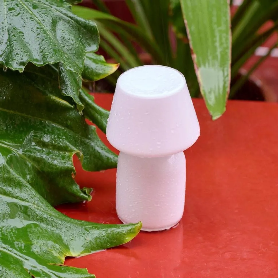 Apollo Portable