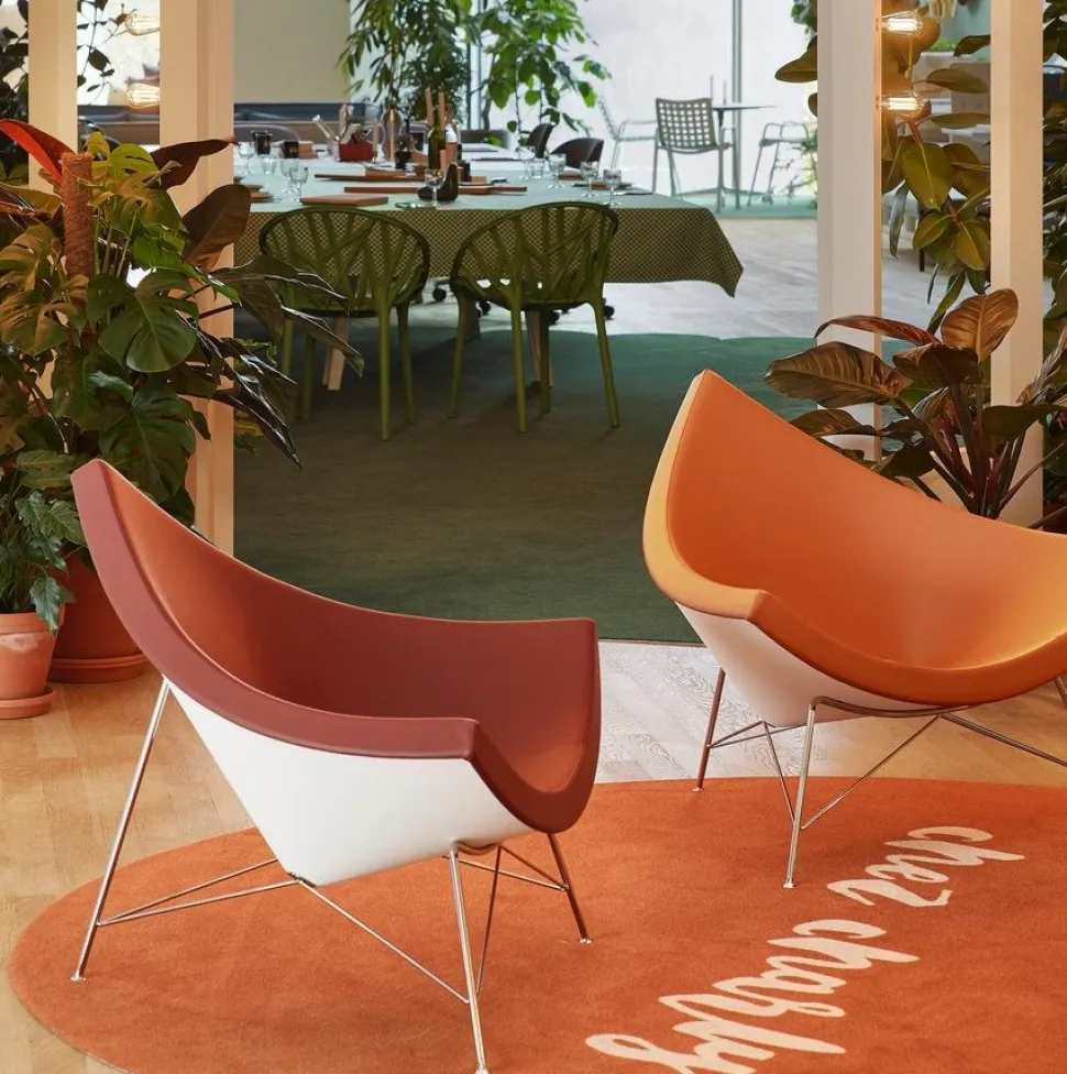 Coconut Chair