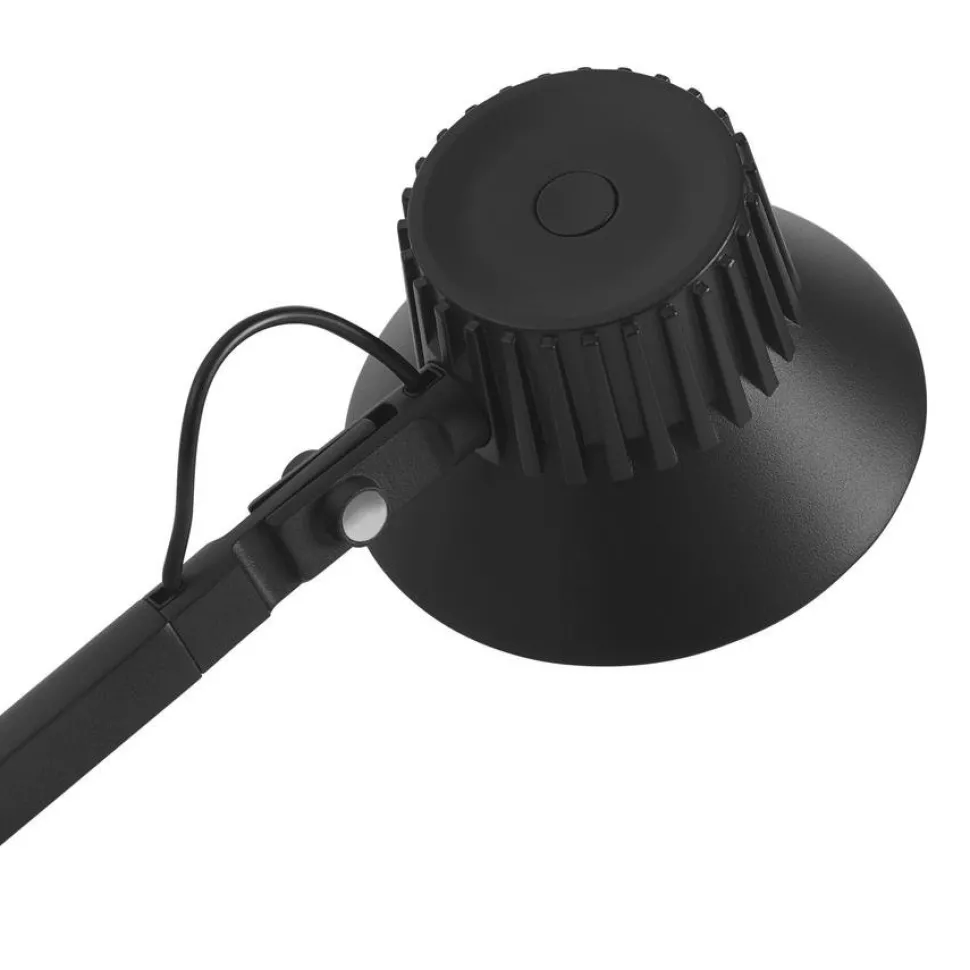 Dedicate Wall Lamp