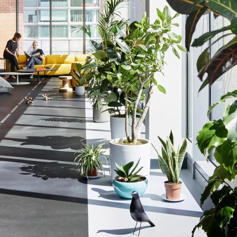 Eames House Bird
