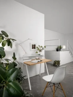 Eames Plastic Side Chair RE DSW