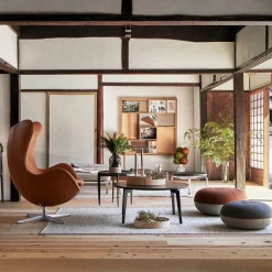 Egg Chair