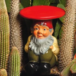 Gnomes