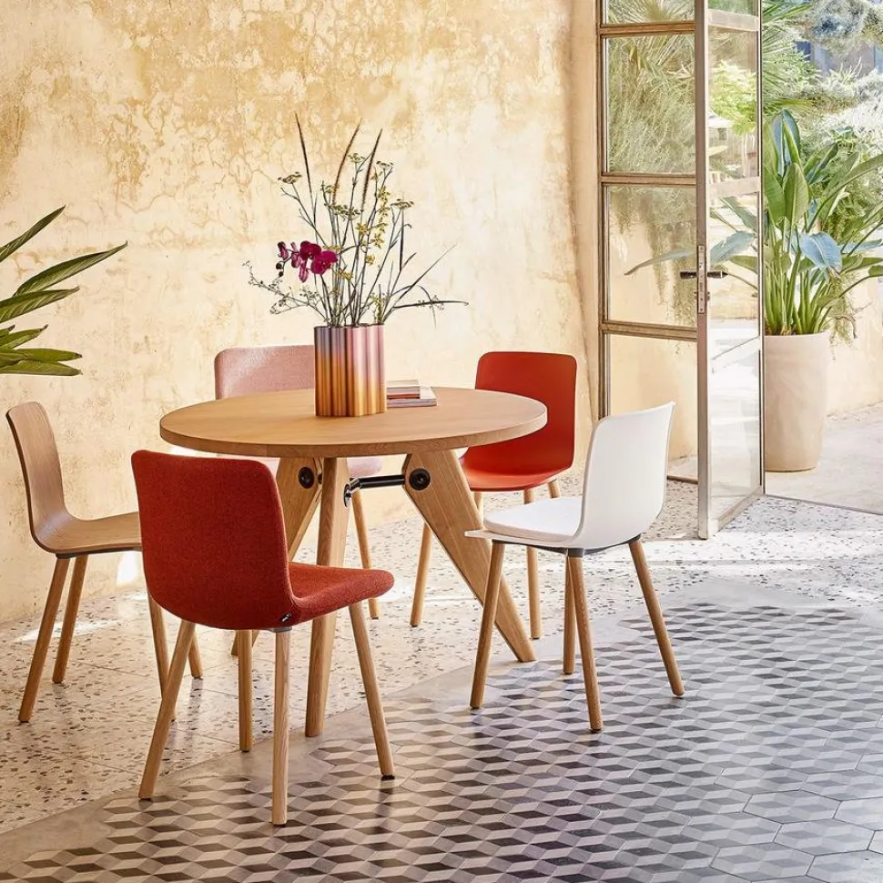 HAL Ply Wood