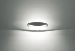 Mesmeri