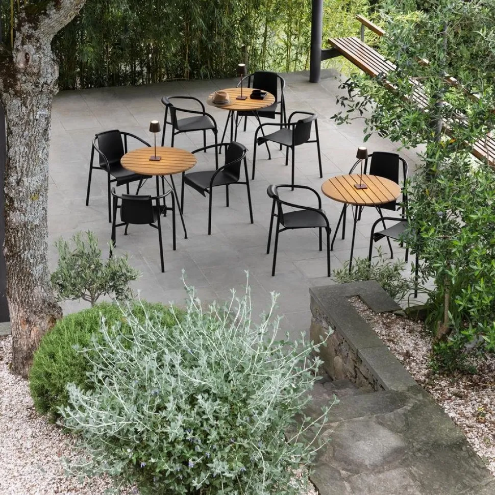 Nami Dining Chair