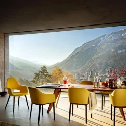 Organic Chair