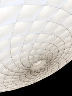 Patera