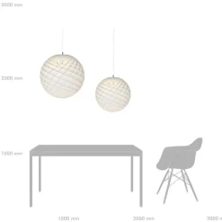 Patera