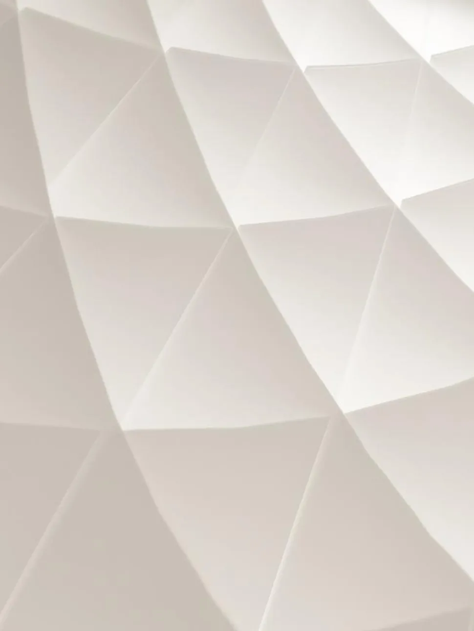 Patera Oval