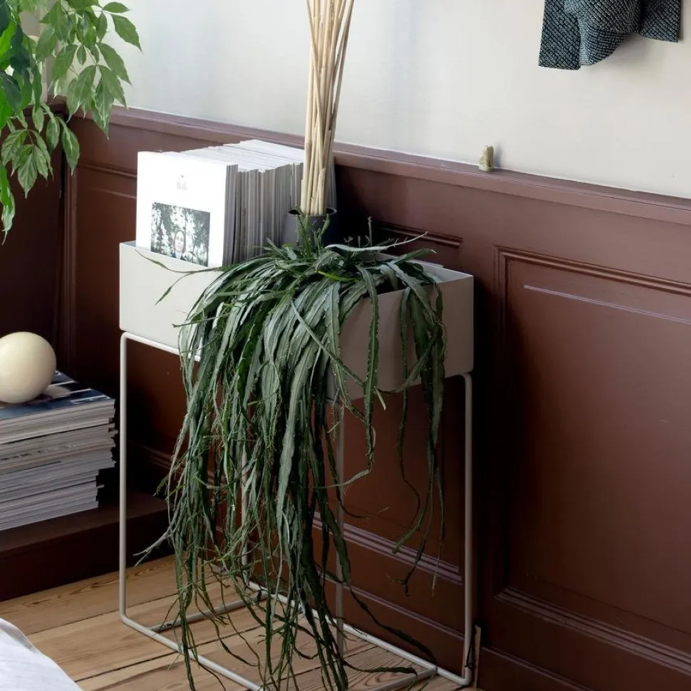 Plant Box H 65