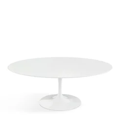 Saarinen Couchtisch oval