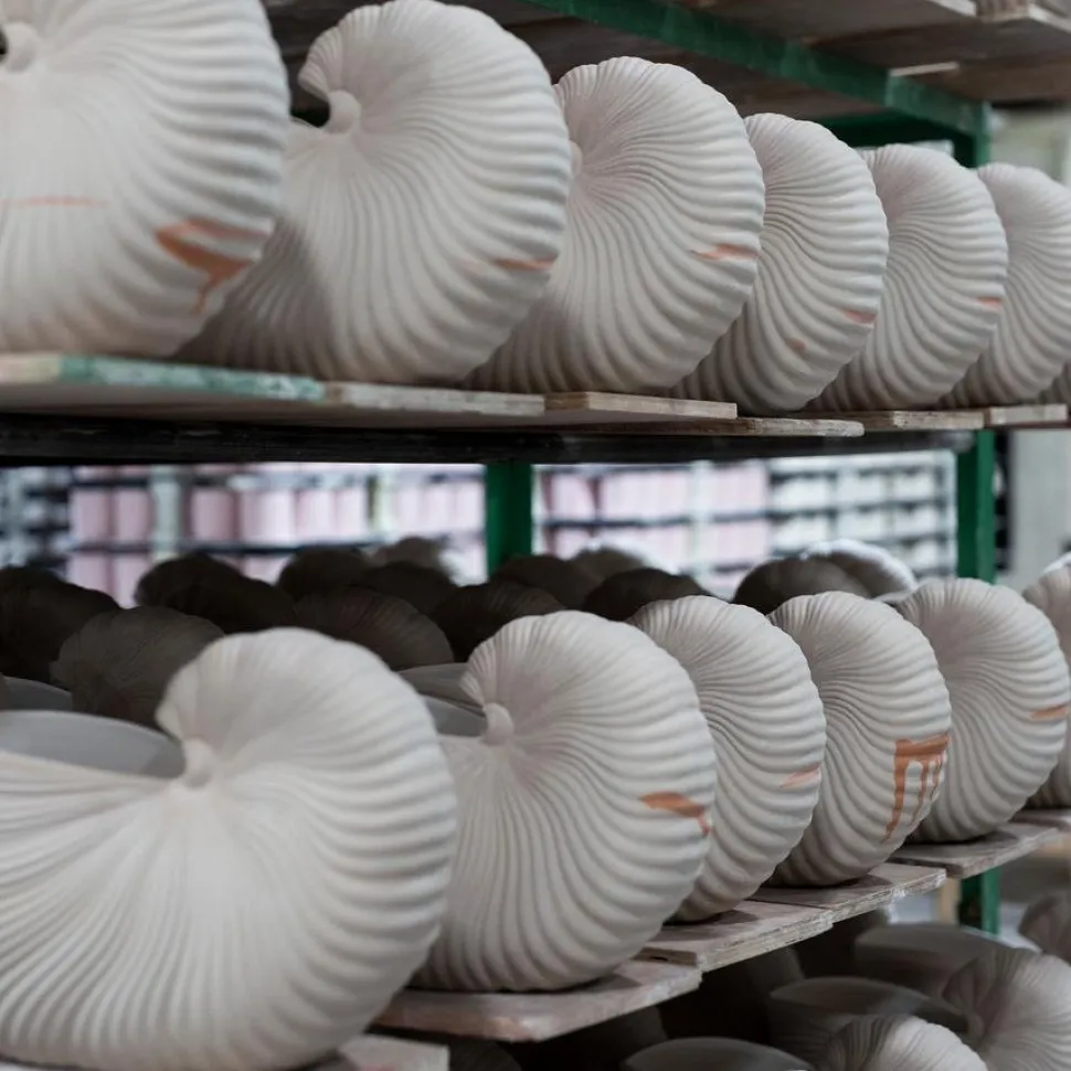 Shell Pot