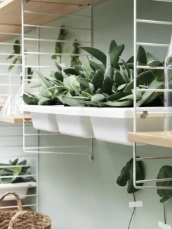 String System Bowl Shelf