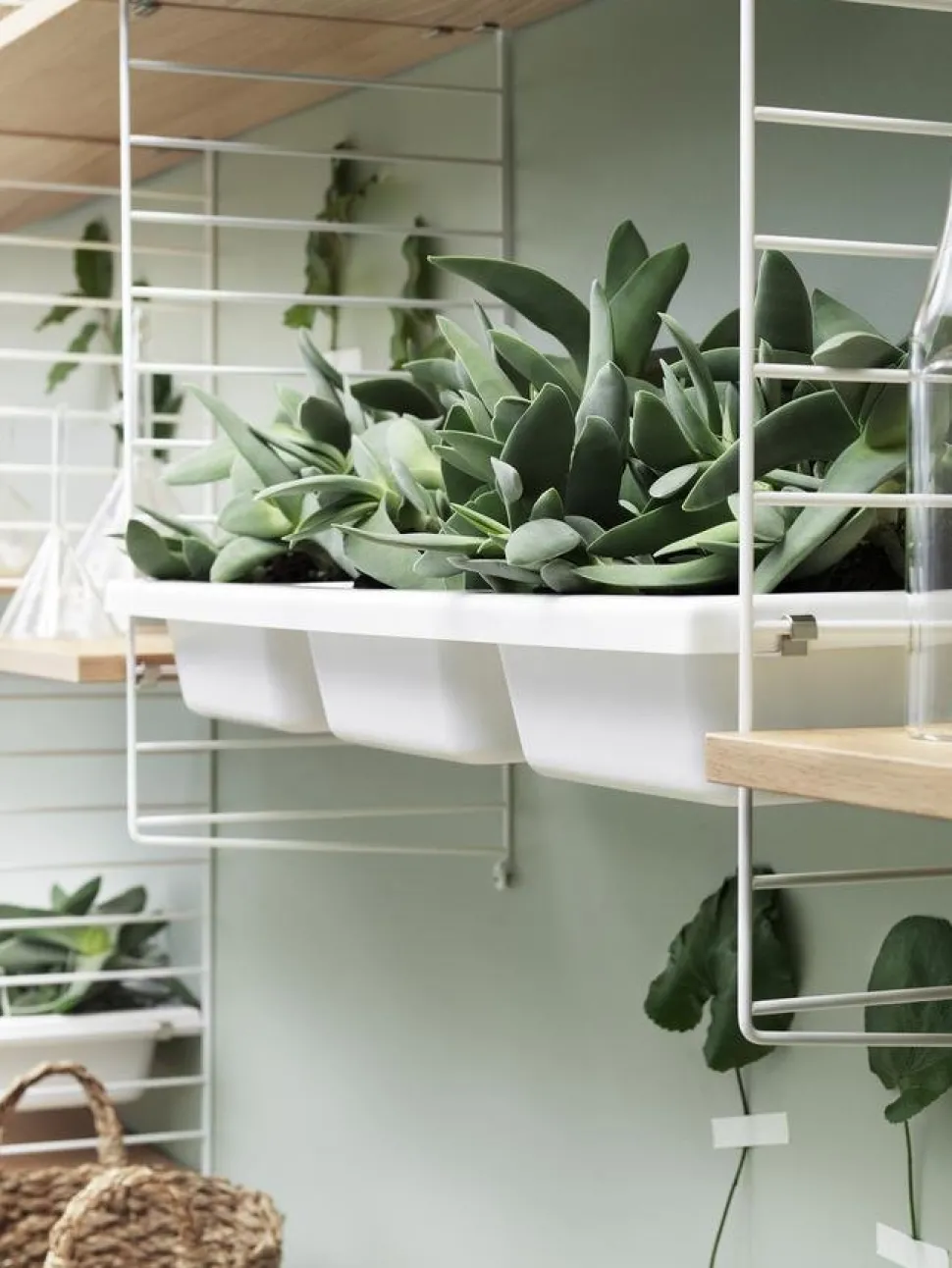 String System Bowl Shelf