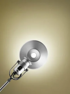 Tolomeo Lettura