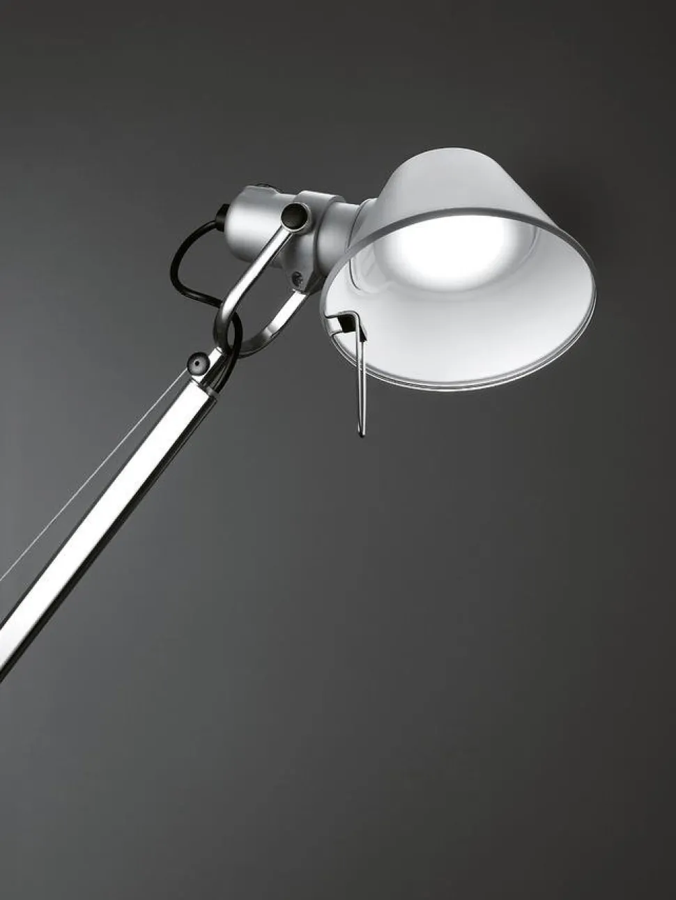 Tolomeo Lettura