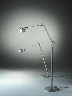 Tolomeo Lettura
