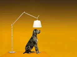 Tolomeo Mega Terra LED