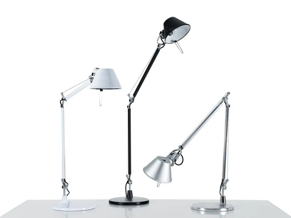 Tolomeo Tavolo