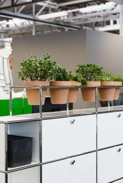 USM Haller Pflanzenwelten Sideboard