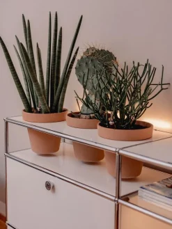 USM Haller Pflanzenwelten Sideboard