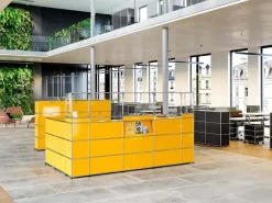 USM Haller Theke Typ 4