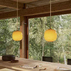 VL45 Radiohus Pendelleuchte